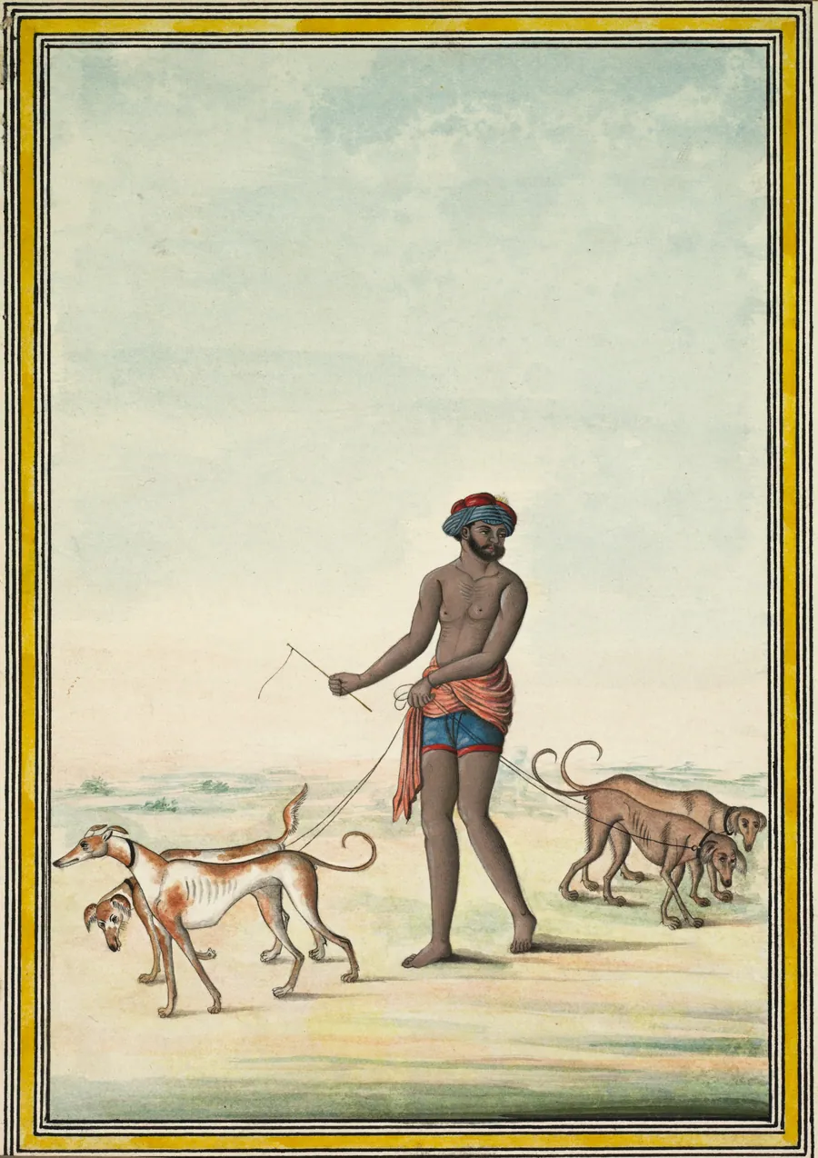 Dog Walker