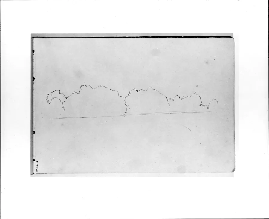 Outline Sketch of Tress (from Sketchbook VII) by William Trost Richards