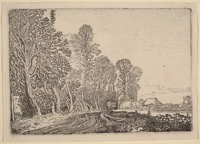 Road at the Edge of the Forest