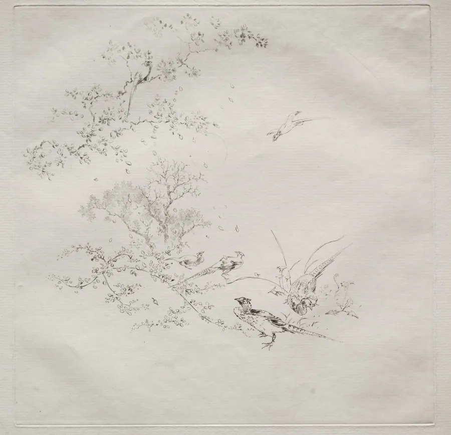 Parisian Service (Haviland service) by Félix Bracquemond