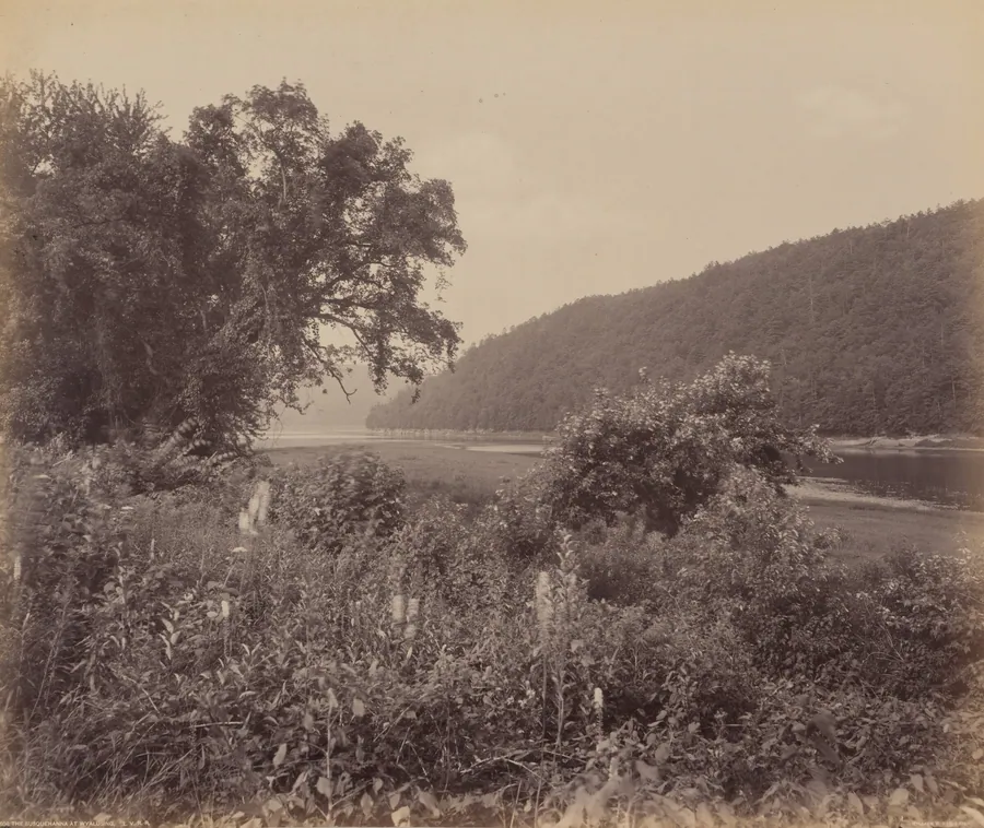 The Susquehanna At Wyalusing by William H. Rau