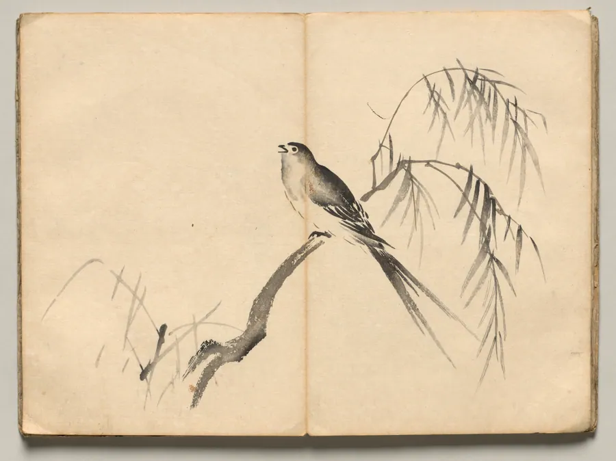 Warbler from Ōkyo Picture Book by Maruyama Ōkyo