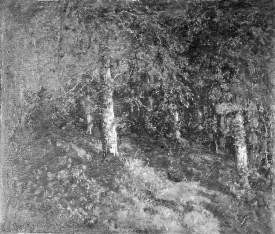 Måneskin i skoven by Viggo Pedersen