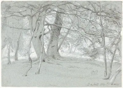 Trees at Box Hill