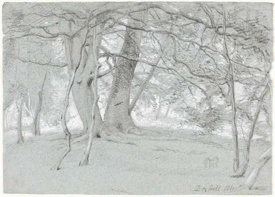 Trees at Box Hill by Sir William Blake Richmond