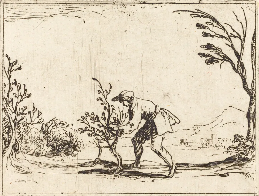 Man Cutting a Balm-Tree by Jacques Callot