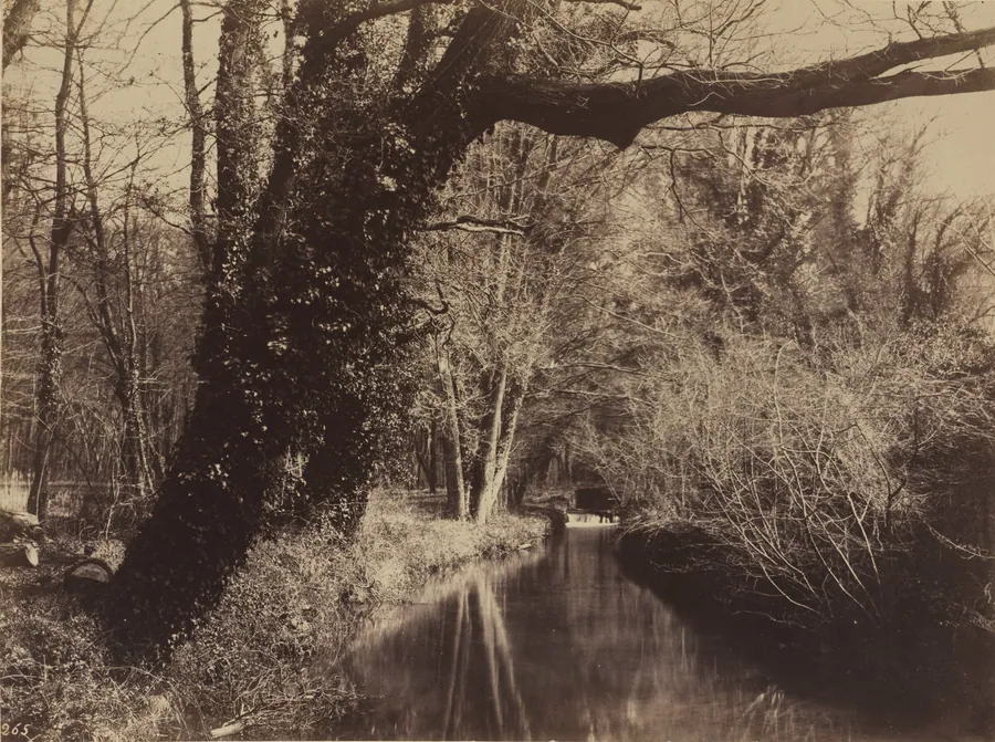 Parc de Courances by Eugène Cuvelier