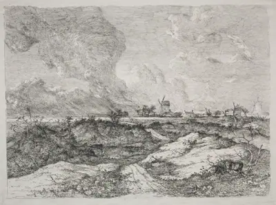 Mousehold Heath