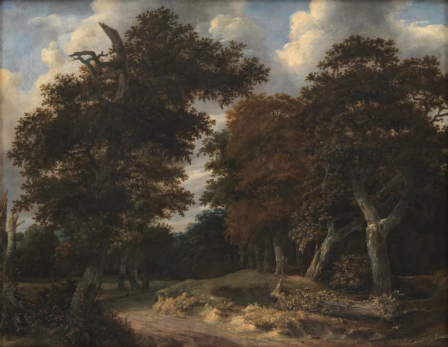 Vej gennem en egeskov by Jacob Isaacksz. van Ruisdael