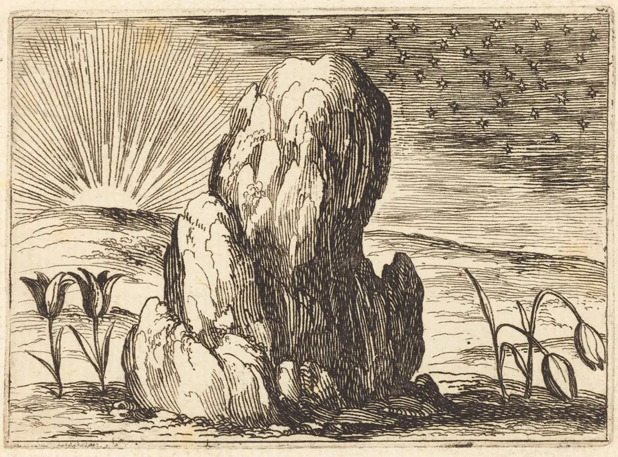 The Tulips and the Sun by Jacques Callot