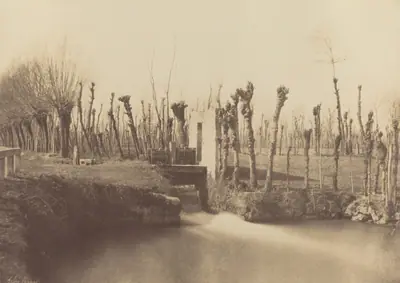 Landscape, Montebello