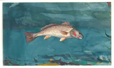 Channel Bass