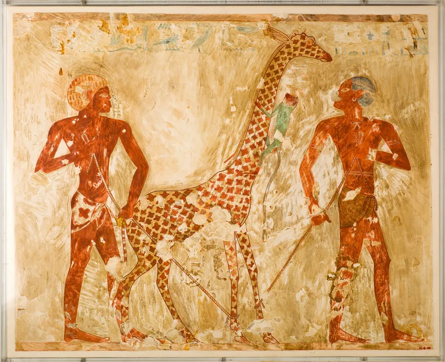 Nubians with a Giraffe and a Monkey, Tomb of Rekhmire by Nina de Garis Davies