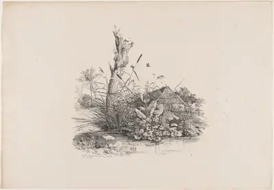 Withered Tree by a Pond