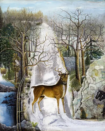 Stag at Echo Rock