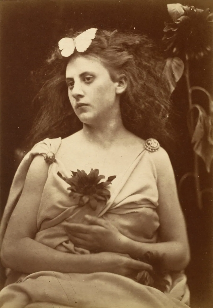 The Sunflower by Julia Margaret Cameron
