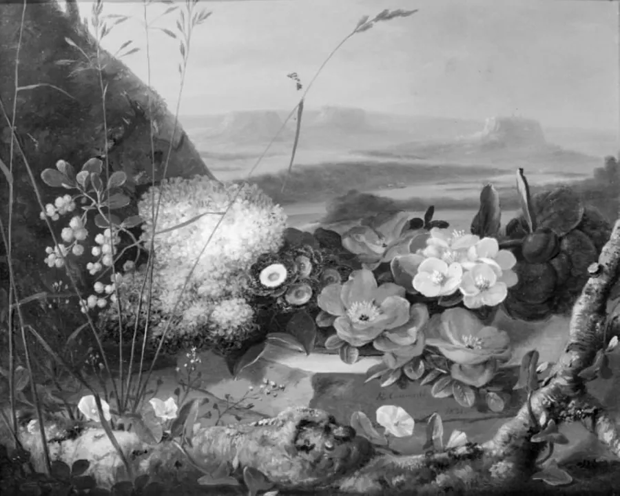 Blomster på en sten. I baggrunden et bjerglandskab by J.L. Camradt