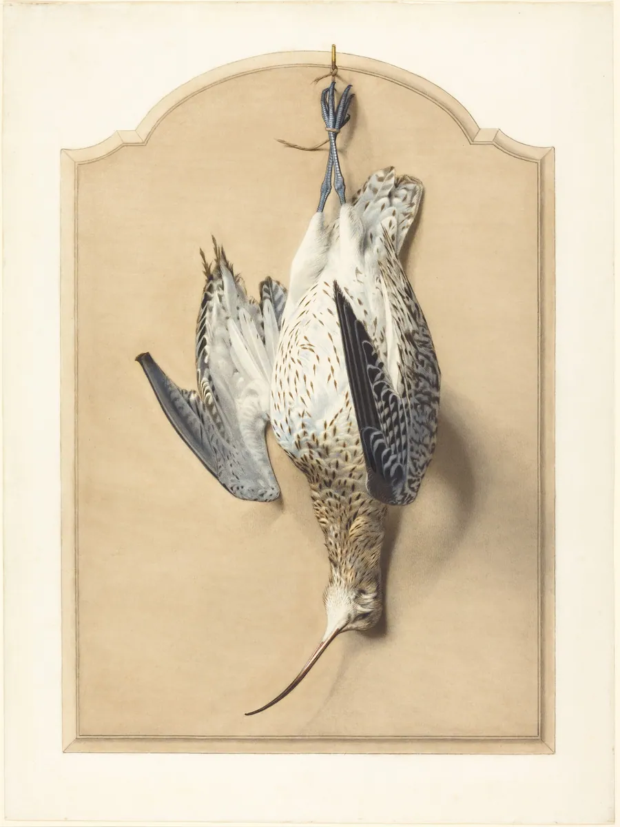 Trompe l'Oeil: A Curlew Hanging from a Nail by Édouard Traviès