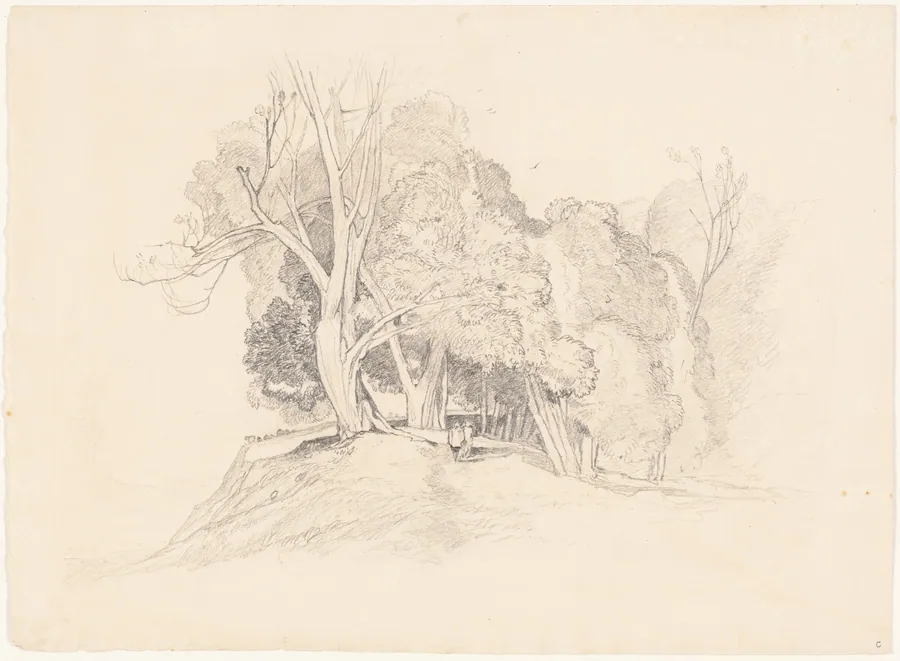 Landscape with Trees by British 19th Century