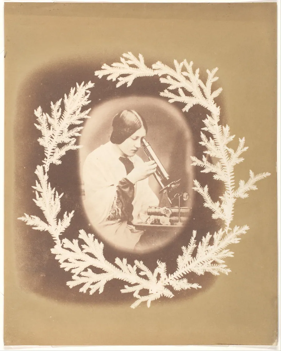 [Thereza Dillwyn Llewelyn with Her Microscope] by John Dillwyn Llewelyn