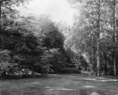Park med høje træer