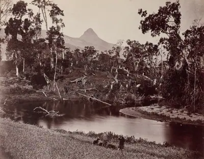 Ceylon Views to Adam's Tooth
