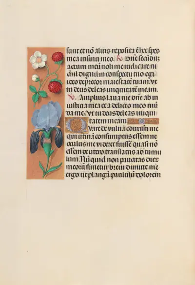 Hours of Queen Isabella the Catholic, Queen of Spain: Fol. 245v