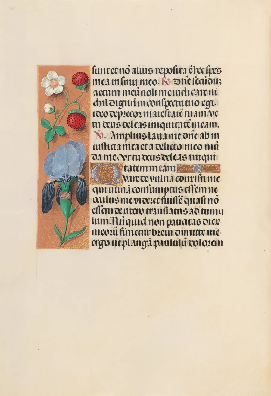 Hours of Queen Isabella the Catholic, Queen of Spain:  Fol. 245v by Master of the First Prayerbook of Maximillian