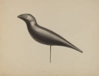 Decoy