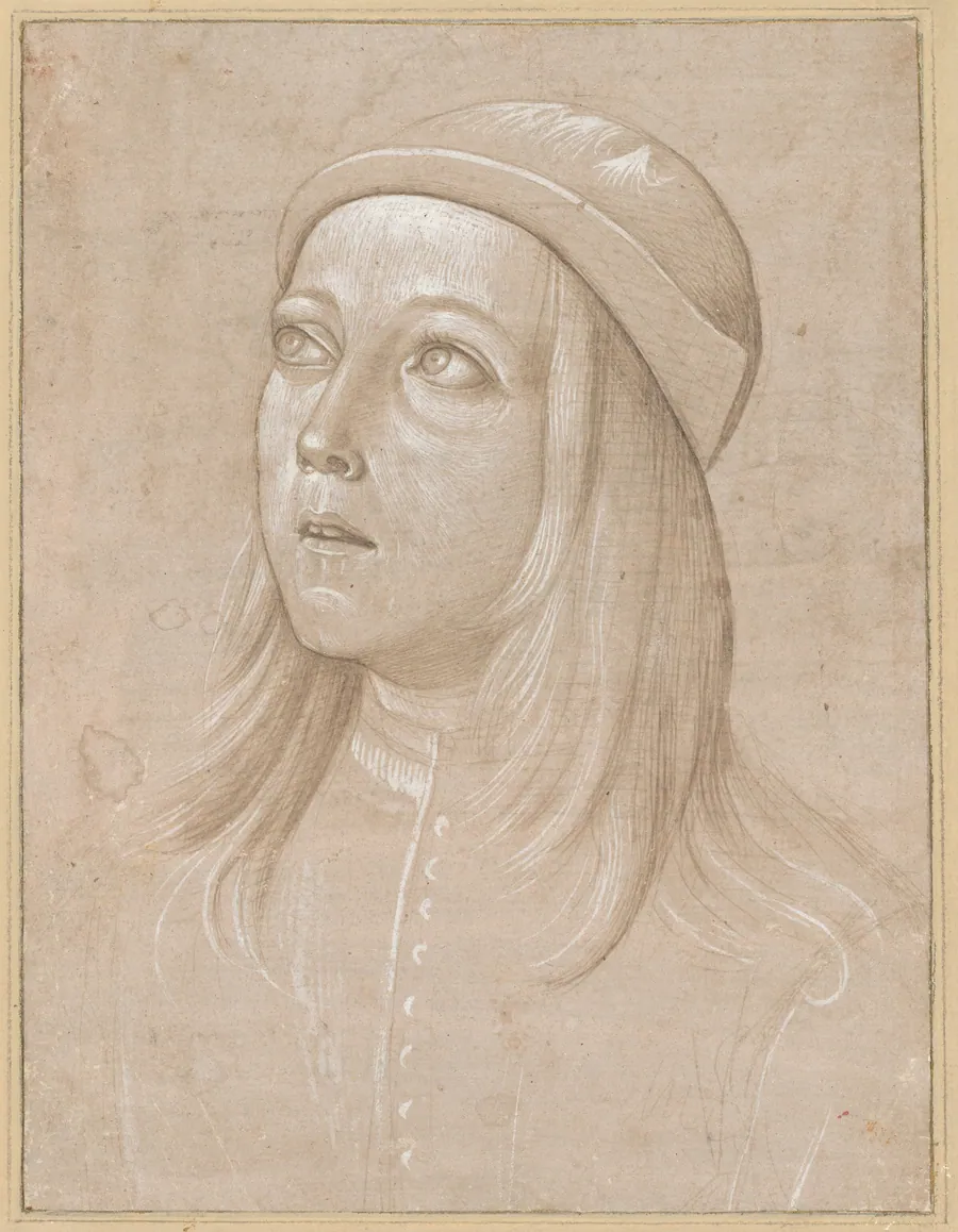 Head of a Youth Looking Up by Pinturicchio