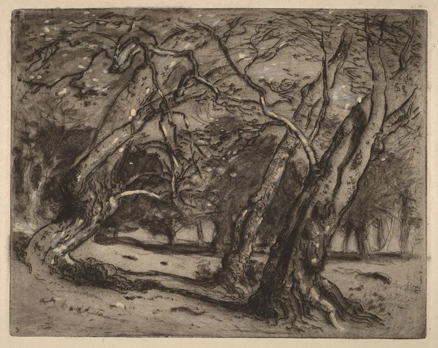 Untitled (Wooded Landscape) by Samuel Colman