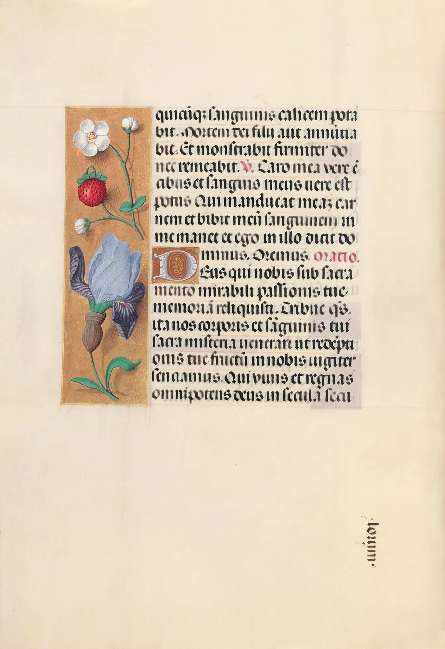 Hours of Queen Isabella the Catholic, Queen of Spain:  Fol. 46v by Master of the First Prayerbook of Maximillian
