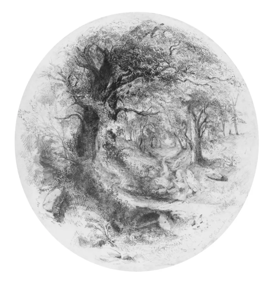 Interior of Woods with Small Stream (from Cropsey Album) by William Trost Richards