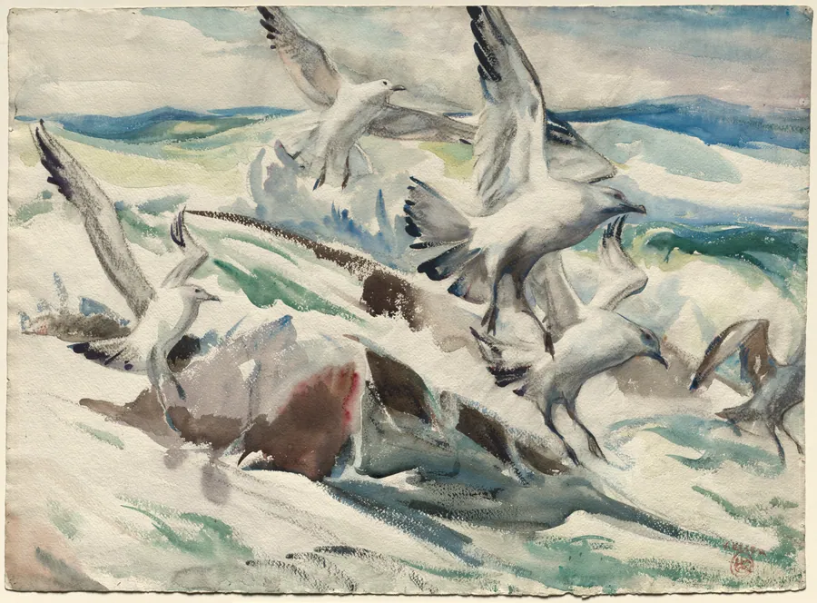 Gulls Feeding by Henry Keller