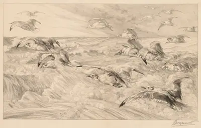 Seagulls (Les Mouettes)