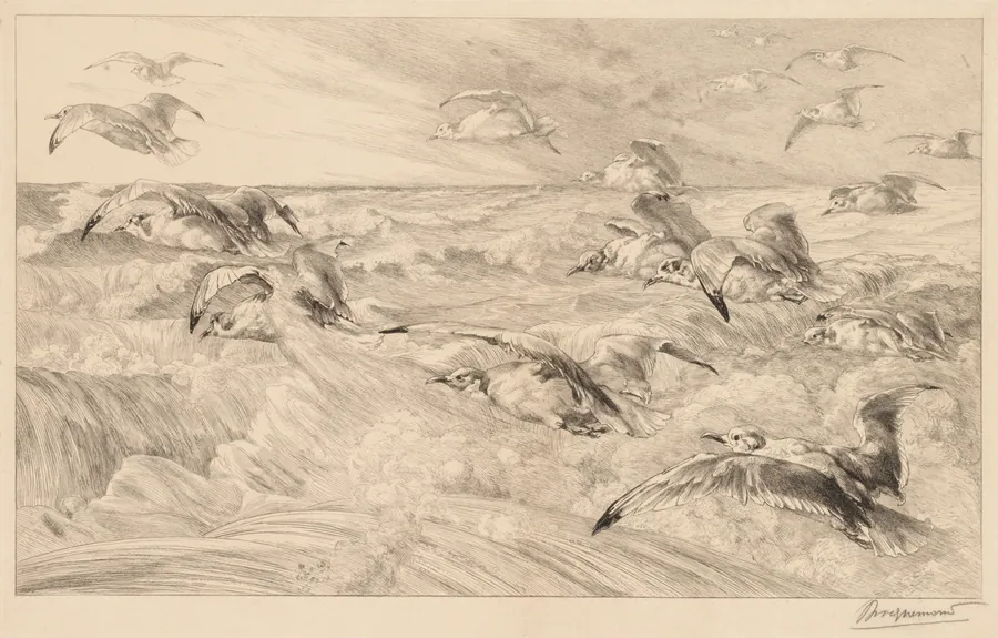 Seagulls (Les Mouettes) by Félix Bracquemond