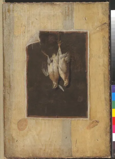 Trompe l'oeil. Bræddevæg med stilleben af to døde fugle ophængt på en væg