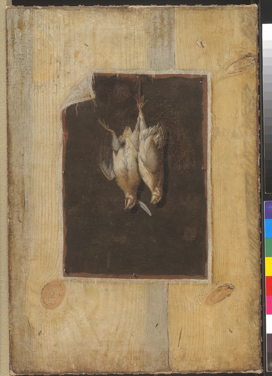 Trompe l'oeil. Bræddevæg med stilleben af to døde fugle ophængt på en væg by Cornelius Norbertus Gijsbrechts