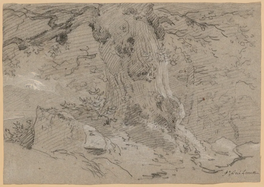Study of Old Tree Trunk by Jean Antoine Linck