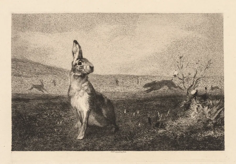 The Hare (Le Lièvre) by Félix Bracquemond