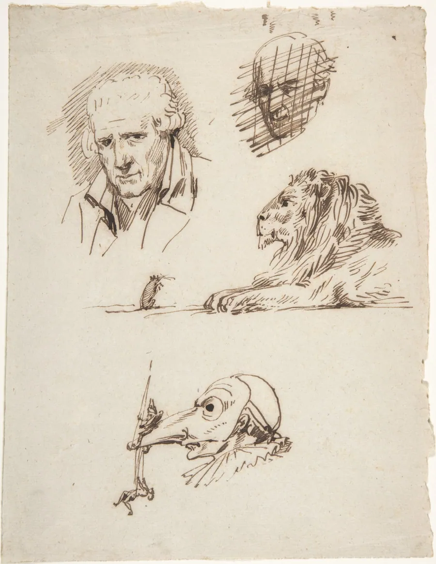 Sheet of Studies:  Three Male Heads, a Lion and a Mouse by Pierre Jean David d'Angers
