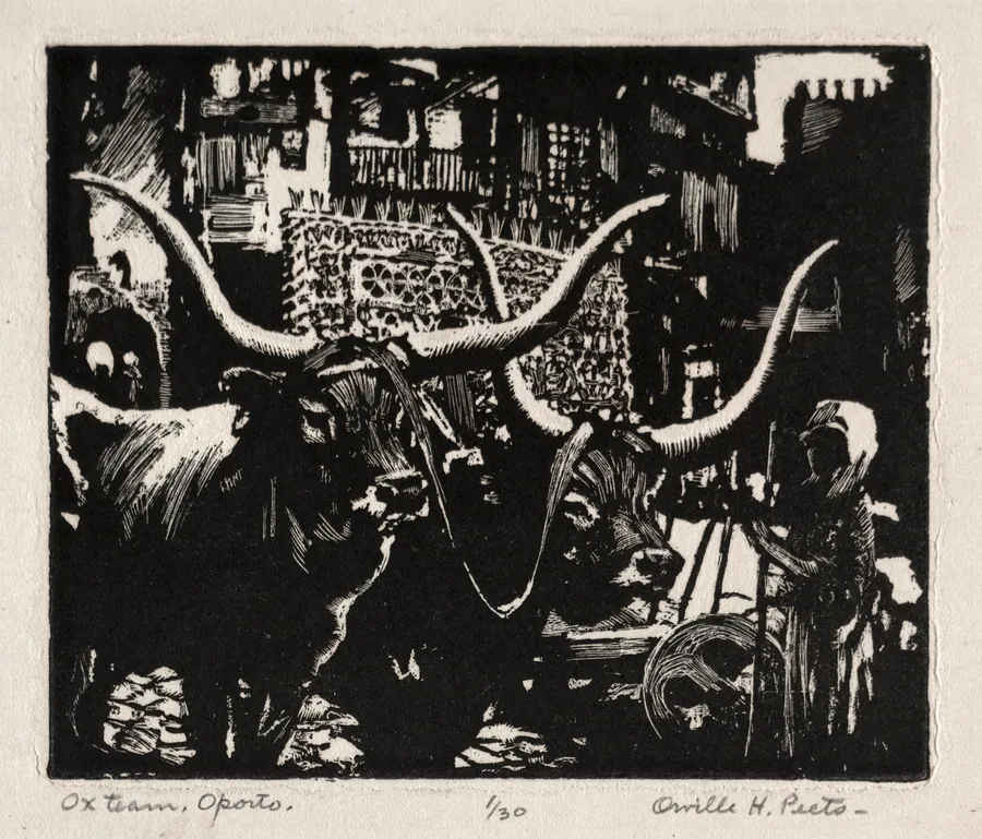 Ox Team, Oporto by Orville Houghton Peets