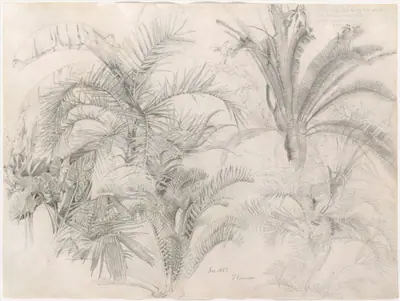 Palms
