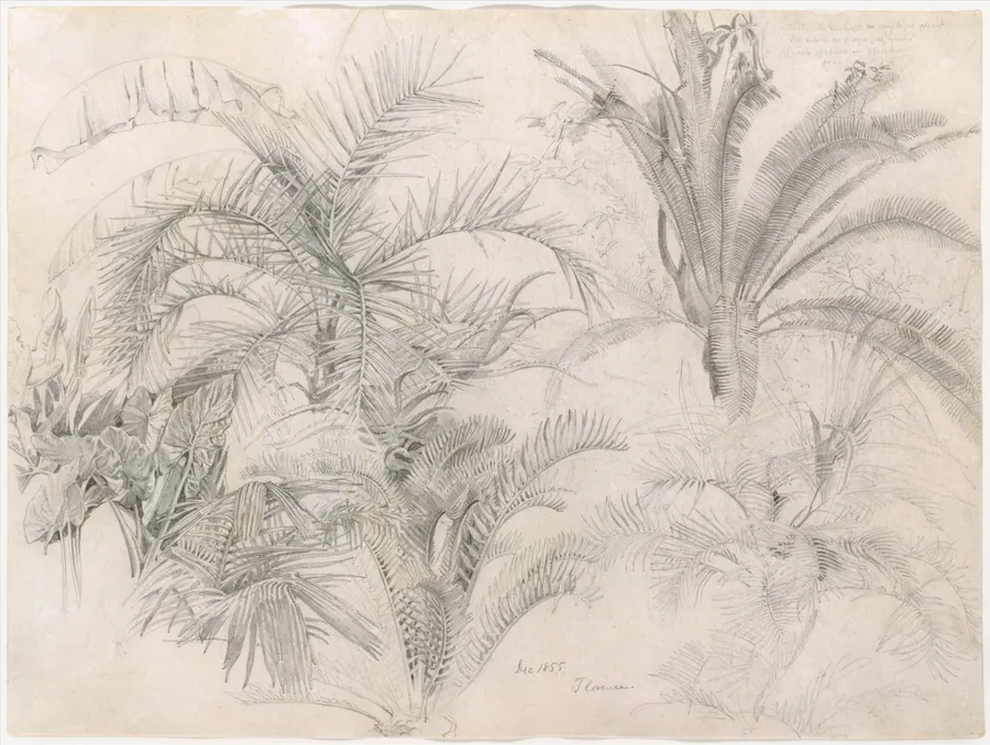 Palms by William Trost Richards