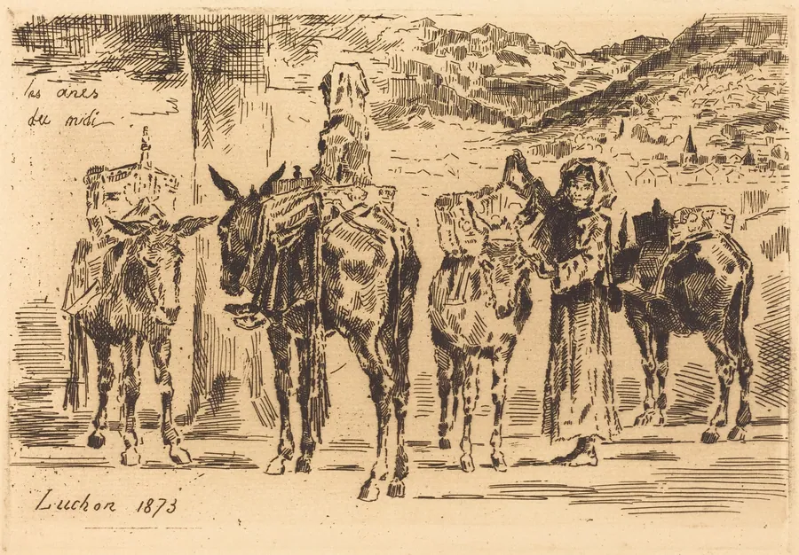 Feuilles d'Anes du Midi by Félix-Hilaire Buhot