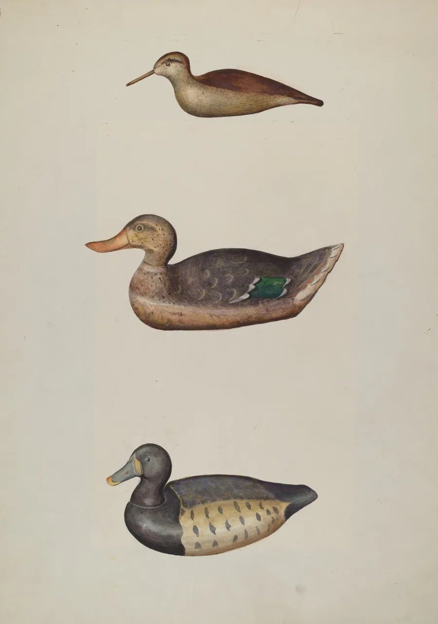 Three Decoy Ducks by Harriette Gale