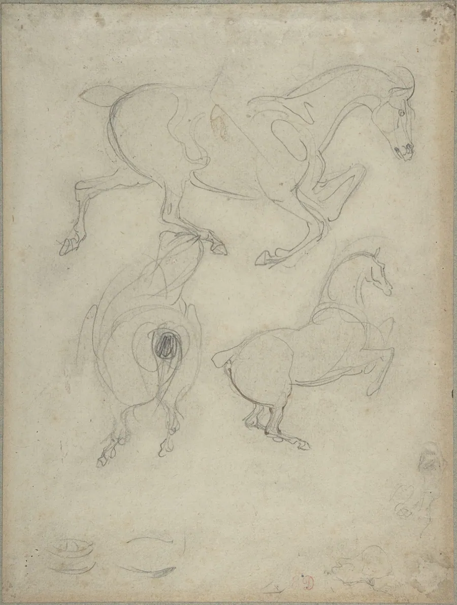 Studies of Horses by Eugène Delacroix