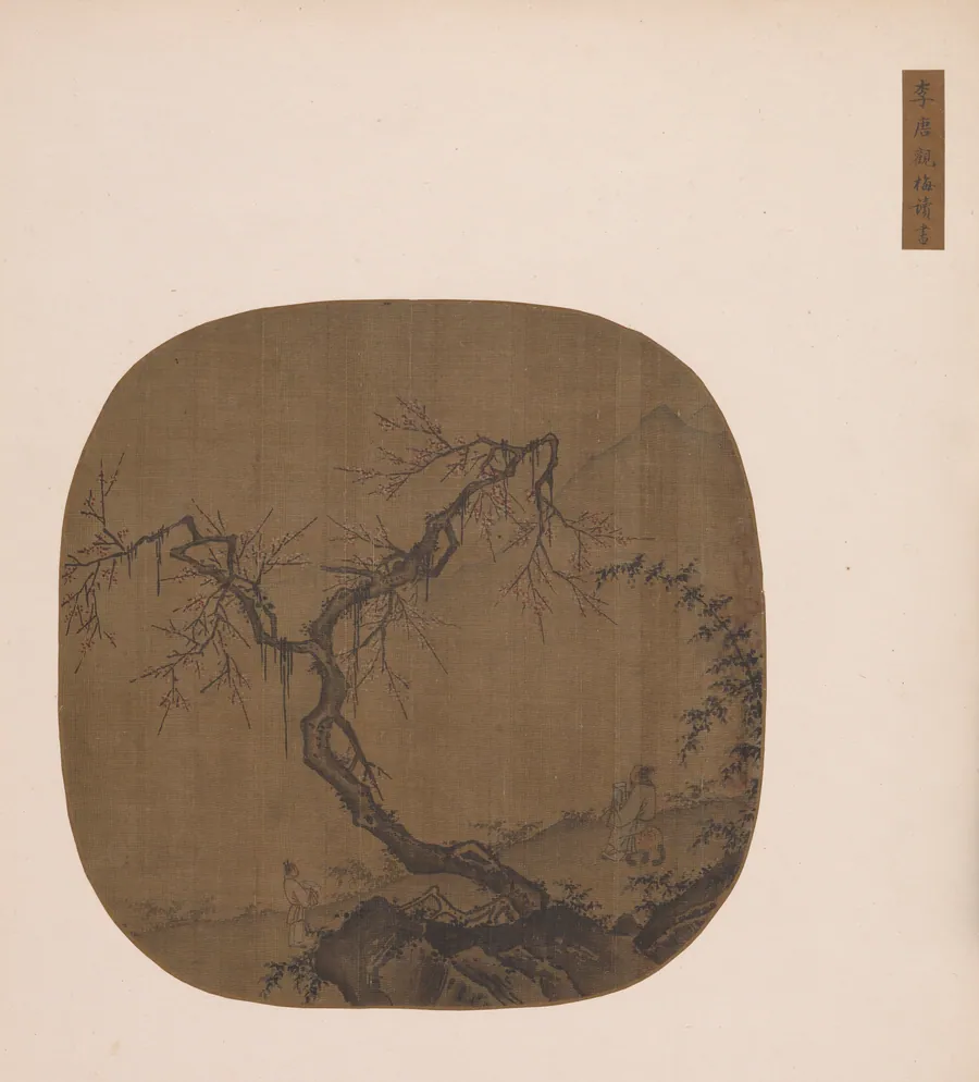 Looking at Flowering Plums and Reading by Style of Ma Yuan 馬遠 (active late 12th-early 13th century)