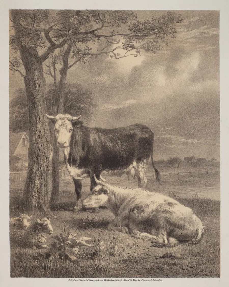 Cattle Ruminating by Joseph Foxcroft Cole