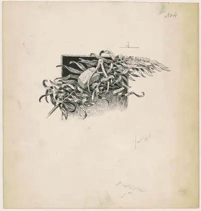 Hammer and Compass
